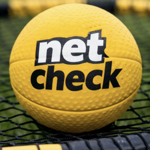 Net Check Spikeball
